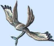 Lophos Moramora (laia)