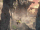 Exploration2.gif