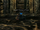 XC-Giants-Treasure-Chest-PI2S-2.png