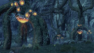 Img field02 yako 03