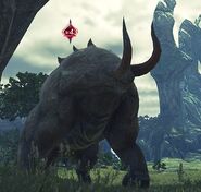 GrayBuloofo