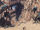Img sp-welcome14L-03.jpg