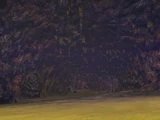 Lava Cave