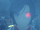Controlled Iris.PNG