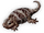 Fullbelly Gecko icon.png