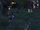 XC-Earnest-01.png
