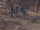 Chapter 7 (6).png