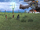Ether Planter screenshot.png