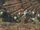 Supply Convoy