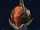 Zyi 8-F.png