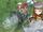 Tora and Nia XC2.jpg