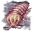 Assassin Springtail icon.png