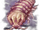 Assassin Springtail icon.png