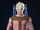Phogturtleneck.jpg