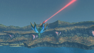 Central Seal Island DE Hovering Reef 8