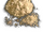 Autiga Powder