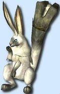 Little Bunnit
