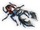 Kusakiri Stag Beetle
