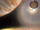 Untitled.png