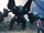 Frontier 精灵 (11).png