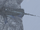 Sesna-lexos.png