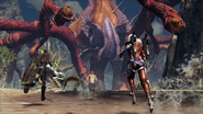 XCX Exploration 22