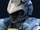 Forza Headwear