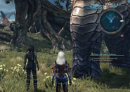 XCX-FN-Site-117
