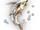 Golden Sardine