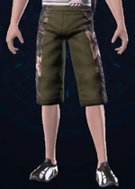 Shorts 1-M.png