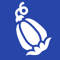 XC2-collectible-vegetable.png