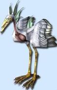 Lacus Flamii