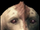 Malyteth