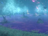 Dark Swamp