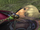 Shulk relaxes.png