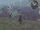 Dark swamp.jpg