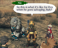 Nia Salvaging Suit