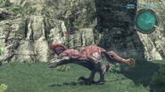 Griffus