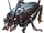 Rainy Cricket