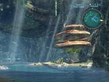 Whale's Weeper