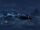 Ocean 剑鱼.jpg