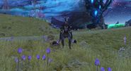 Peeling Kircheis 2