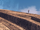 Mighty 米娅 (2).png