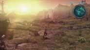 Primordial Wilderness sunset