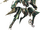 Xb-green-face.png