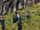 Close Encounters (1).png