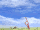 XC-title-screen-gif-03.gif