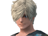 Phog