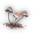 Caseras Mushroom icon.png