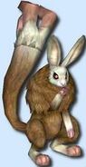 Clap Bunniv